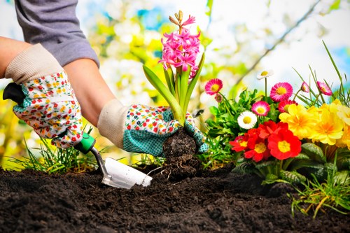 Gardener Acton providing professional gardening services