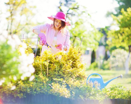 Professional lawn mowing service in Acton