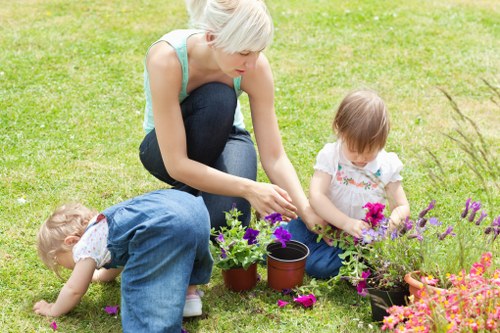 Healthy green lawn maintained by experts