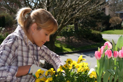 Eco-friendly garden clearance practices in Acton