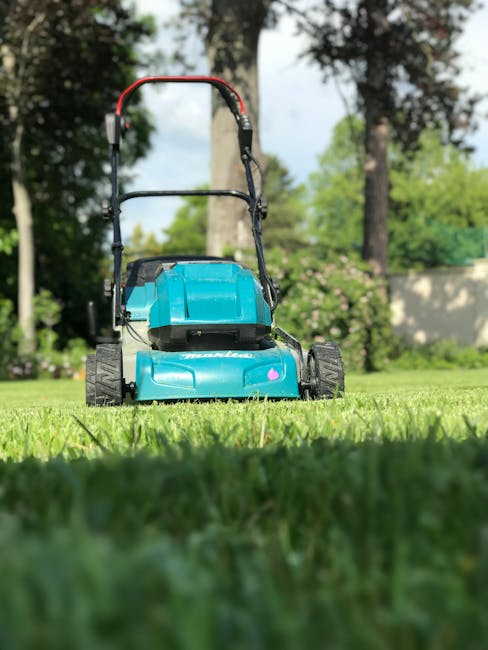 A close-up view of a blue electric lawnmower with black wheels and a red safety handle, positioned on a well-maintained grassy garden area. The lawnmower is oriented towards the camera, with the grass