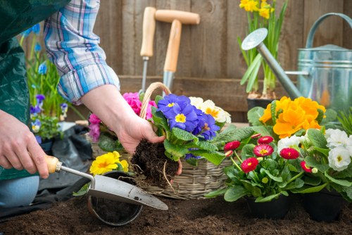 In a garden setting, a person wearing a plaid shirt is planting a vibrant purple and yellow flowering plant into the soil, with a small hand trowel held in their right hand. Surrounding the planting area are various gardening tools and supplies, including a watering can, a metal bucket, and potted flowers with red, yellow, and white blooms, likely primroses and daffodils. The garden features a wooden fence in the background, with a few taller plants and flowers in blossom, indicating a well-maintained outdoor space typical of Acton. The soil appears freshly turned, rich, and moist, suggesting recent gardening activity. Natural daylight illuminates the scene, with a slightly overcast sky creating soft shadows, emphasizing the lush greenery and the vivid colours of the flowers. This image exemplifies the type of detailed garden work and plant care provided by Gardener Acton, seamlessly integrating lawn and flower bed maintenance within a typical residential garden environment.